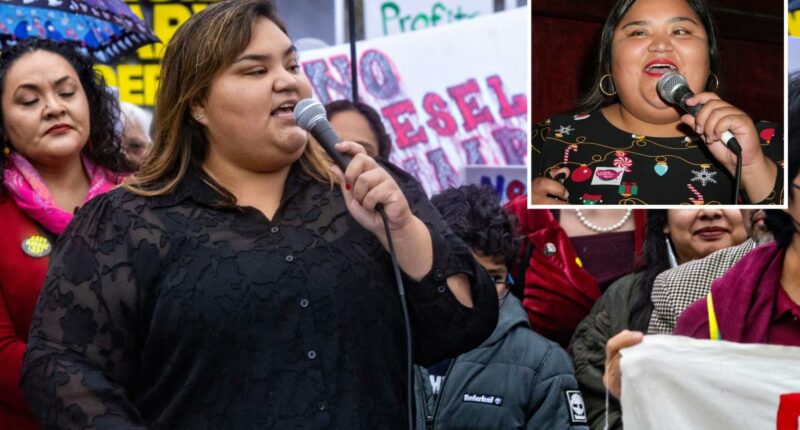 DSA candidates rail against billionaires â while still cashing checks from the ultra-rich